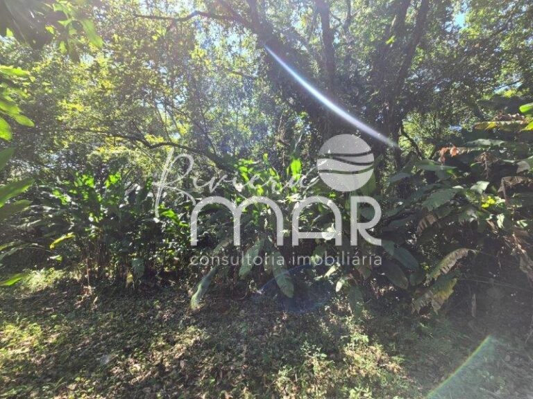 Imagem do WhatsApp de 2024-04-04 à(s) 14.55.14_cfa60ae6