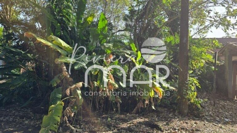 Imagem do WhatsApp de 2024-08-14 à(s) 16.24.19_055264d5