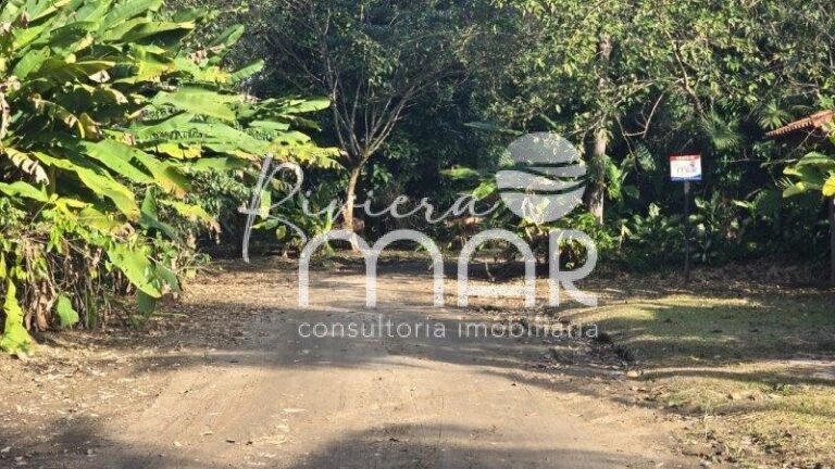 Imagem do WhatsApp de 2024-08-14 à(s) 16.24.24_be7d22e3